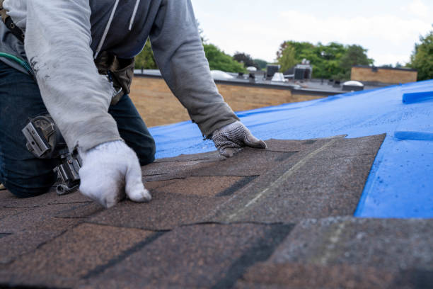 Best Local Roofing Companies  in Fond Du Lac, WI